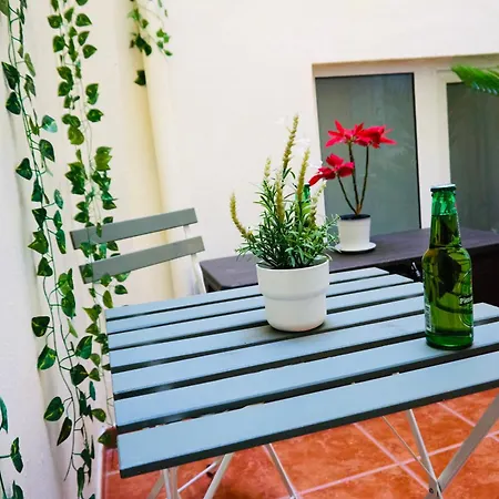 Apartment Loft Sirenita. Muy Centrico Con Patio Privado